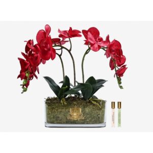 OOV14 Букет OVAL  Red Orchid Cote Noire